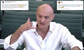 'dominic cummings is an alien in a gilet': Dominic Cummings Wins Surprise Fans Thanks To His Unbuttoned Shirt And Northern Accent News Colony