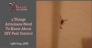 We offer a variety of services to protect your home from pest. 5 Things Arizonans Need To Know About Termites Before Doing Diy Pest Control