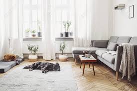 The zesty lime, pink gray and white are the main building block colours for a scandinavian inspired living room. Stylish Interior Of Living Room With Small Design Table And Sofa Stock Photo Picture And Royalty Free Image Image 107542267