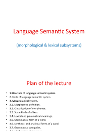 Grammatical category and grammatical meaning. Semantic Word Grammatical Number