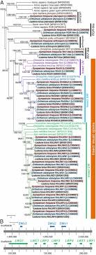 Add a bio, trivia, and more. Extraordinary Diversity Of Visual Opsin Genes In Dragonflies Pnas