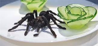 Здесь вы можете скачать eklige food kombinationen von schwangeren essen. Hier Gibt Es Das Widerlichste Essen Des Planeten