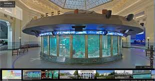 Shedd Aquarium On Twitter Shedd Aquarium Aquarium Field Trip