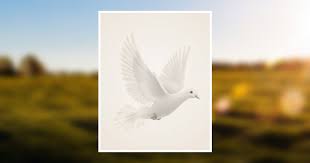 Frank F. Trahan, Sr. Obituary April 4, 2012