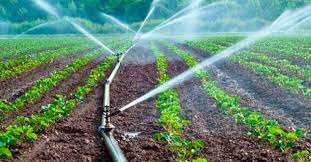 Riego Tecnificado Sustentabilidad Y Desarrollo Secretaria De Agricultura Y Desarrollo Rural Gobierno Gob Mx