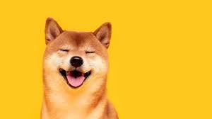 However, its popularity went into the stratosphere after elon musk and dallas mavericks owner mark cuban relentlessly promoted the coin. Elon Musk Ernennt Dogecoin Zur Besten Kryptowahrung