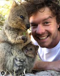 Meet the photographer who takes the world's best animal selfies