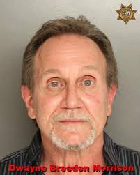 Berkeley County Sheriff's Office: 2 men arrested, found with more than 2  pounds of methamphetamine