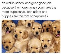 Life is pretty harsh these days and we all need something to relief our stress. Great Job Meme Dog