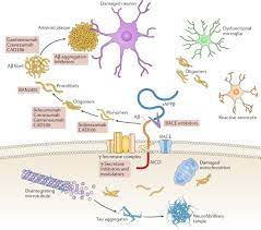 A Critical Appraisal Of Amyloid B Targeting Therapies For Alzheimer Disease Nature Reviews Neurology