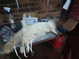 Wilmar Rincon (WRinconNavarro@)