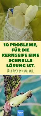10 probleme fur die kernseife eine schnelle losung ist kernseife fettige haare fusspflege haushalt gesundheit kor kernseife seife hausreinigungs tipps