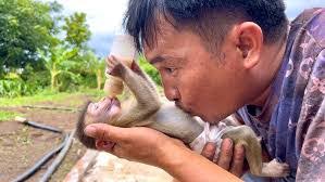 Dora Mckay's Instagram, Twitter & Facebook