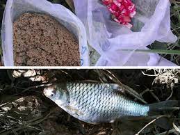 Maybe you would like to learn more about one of these? Resepi Ikan Lampam Jawa