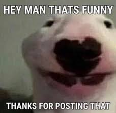 Hey Man That S Funny Reaction Images Know Your Meme