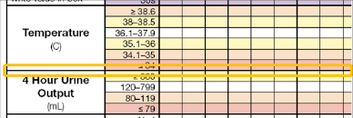 yellow rectangle highlights bold horizontal line used to