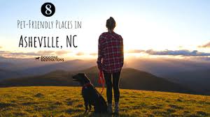 Open daily, come visit and show off you pal to our instagram friends. 8 Pet Friendly Places In Asheville Nc That Your Dog Will Love