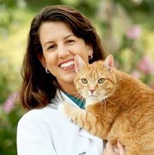 If your pet is experiencing an emergency outside of our clinic hours, please contact blue pearl emergency and specialty hospital: Rancho Santa Fe Veterinary Hospital Of Solana Beach 971 Lomas Santa Fe Drive Solana Beach Reviews And Appointments Topvet