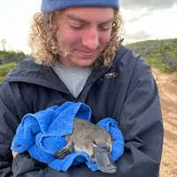 10+ "Max Boulton" profiles