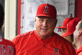 Последние твиты от usa basketball (@usabasketball). Mike Scioscia To Manage Team Usa Baseball In Bid For The 2021 Olympics Halos Heaven