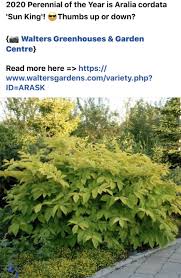 Pin By Tamara Dextre On Plant Wish List Greenhouse Gardening Perennials Garden Center