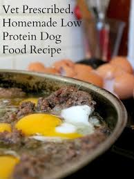 A dog with any ailment, not only requires a good diet, but also a person to look. Homemade Dog Food Recipe Low Protein Restless Chipotle