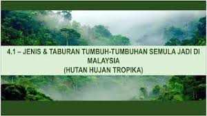 Inilah salah satu faktor mengapa aktiviti outdoor seperti hiking, trekking dan camping semakin menarik minat ramai. Geo On The Go Geo T3 Bab 4 4 1 Hutan Hujan Tropika No Voice Over Youtube