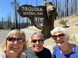 Tree growing out of a rock in the Grand Canyon