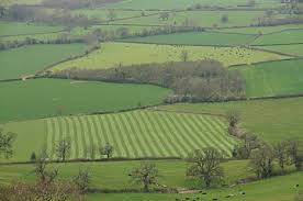 Field Wiktionary The verbs of latin are probably the most convoluted things in the language mostly due to the vast number of forms that each verb could take depending on how it is being used. field wiktionary