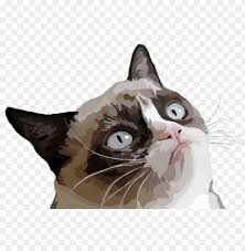 Maybe you would like to learn more about one of these? Rumpy Cat Vector Illustration Grumpy Cat Evil Cat Meme Png Image With Transparent Background Toppng