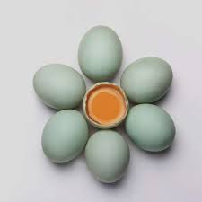 Dampen your hair and apply mixture. Japaneses Dermatologist Claim That Eggs Can Reverse Hair Loss