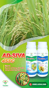 AD-Siva 45SC