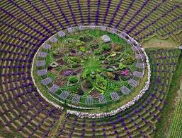 Lavender And Herb Labyrinth And Sacred Geometry Garden Design Cherry Point Farm Michigan Lavender Farm Labyrinth Michigan