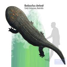 Image result for Dyschoriste transvaalensis