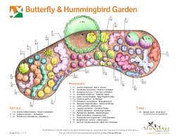 Butterfly Garden Using Native Plants Hummingbird Garden Butterfly Garden Design Butterfly Garden