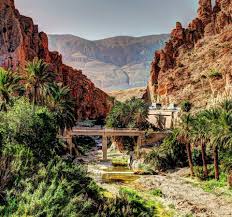 El Kantara Biskra Algeria Biskra Paysage Tourisme