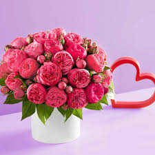 We did not find results for: Fancy Flowers Startseite Facebook