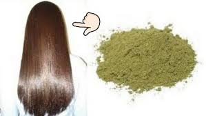 وصفة مطحون ورق السدر الرهييييييييبة لعلاج كل مشاكل الشعر تطويله وتنعيمه Oumhidaya Hair Styles Hair Long Hair Styles