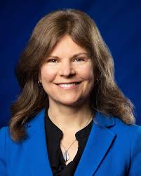 Summit Leadership & Working Group