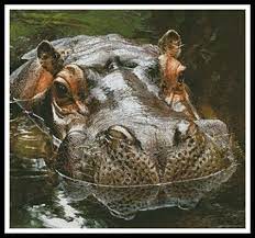 • now you can see your.pdf pattern on the screen in your browser, download it, or have it emailed to you. Hippo Reflection By Artecy Printed Cross Stitch Chart
