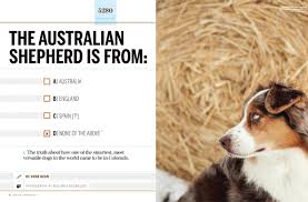 Hours may change under current circumstances The Australian Shepherd Is From A Australia B England C Spain D None Of The Above 5280
