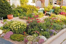 Evergreen flowering shrubs are the best way to keep your garden looking fresh and beautiful all year round. Designing A Small Garden New Zealand Handyman Magazine