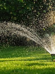 Proper watering is the single most important step for maintaining a new sod lawn. New Sod Care How To Properly Care For Your New Sod Ng Turf