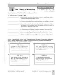 Every workbook contains at least one worksheet by default. Evolution Lesson Plans Worksheets Lesson Planet