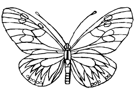 Printable Coloring Pages Butterfly Coloring Page Animal Coloring Pages Free Disney Coloring Pages