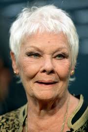 View yourself with judi dench hairstyles. Judi Dench Short Hairstyles Judi Dench Hair Stylebistro