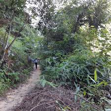It ranks 241st on my list of malaysia's highest mountains and it is the 3rd highest peak in negeri sembilan state, after gunung datuk and bukit bintongan which are both slightly higher. Gunung Kementerian Pelancongan Seni Dan Budaya Malaysia Facebook