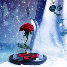 Use these three tips and brownie points will be on the dessert menu no matter where. Valentines Day Beauty Rose And Beast Red Flower Romantic Valentine S Day Birthday Gift Decoration Artificial Flowers Buy At The Price Of 33 68 In Aliexpress Com Imall Com