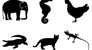 Issa's boyfriend lawrence wants … In The Animal Kingdom What Is A Smew Trivia Questions Quizzclub