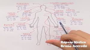 Eleccion De Sutura Y Retiro De Puntos Youtube